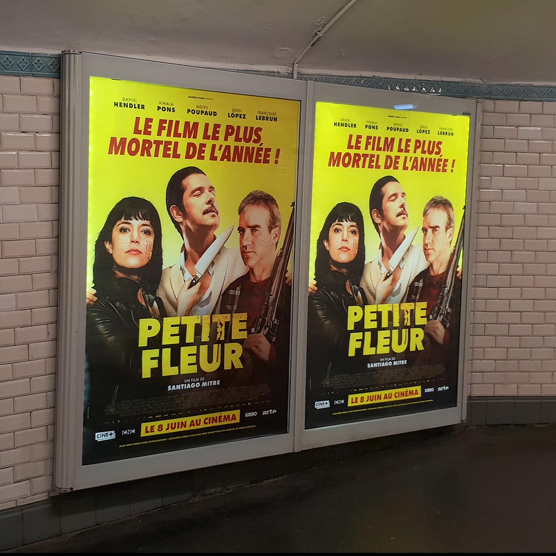 Petite fleur, affiche cinéma pour la France - distributeur KMBO - création affiche agence Les Aliens - affichage métro