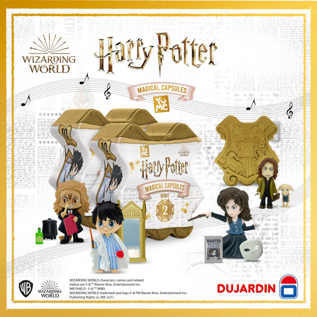 QUIZ_HARRY POTTER JEUX DUJARDIN