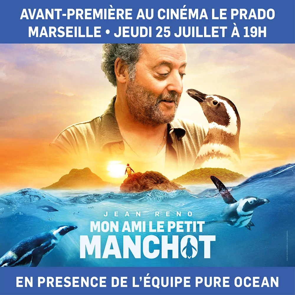 Format Instagram de l'affiche du film Mon ami le petit manchot. Affiche originale française créée par l'Agence Les Aliens - Un film du réalisateur David Schürmann avec Jean Reno, Adriana Barraza, Rocío Hernández. Distribué en France par KMBO en août 2024.
