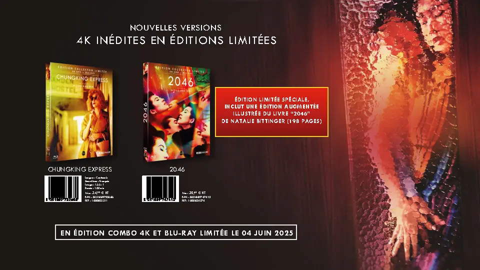 Argumentaire pour l'édition de coffrets en édition limitée de films de Wong Kar Wai. Page 3.